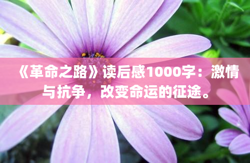 《革命之路》读后感1000字：激情与抗争，改变命运的征途。