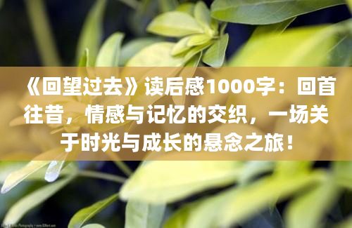 《回望过去》读后感1000字：回首往昔，情感与记忆的交织，一场关于时光与成长的悬念之旅！