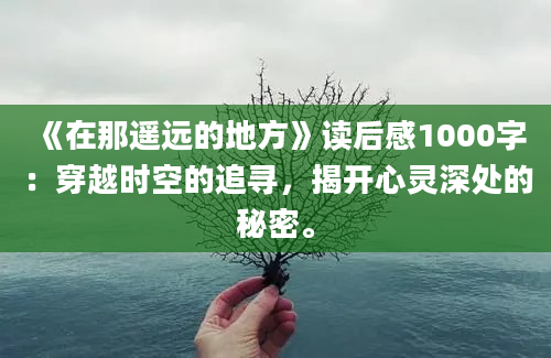 《在那遥远的地方》读后感1000字：穿越时空的追寻，揭开心灵深处的秘密。