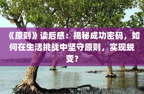 《原则》读后感：揭秘成功密码，如何在生活挑战中坚守原则，实现蜕变？