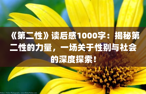 《第二性》读后感1000字：揭秘第二性的力量，一场关于性别与社会的深度探索！