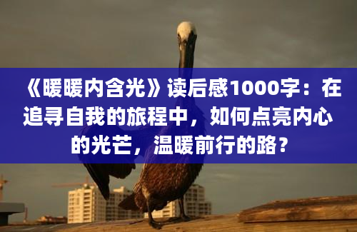 《暖暖内含光》读后感1000字：在追寻自我的旅程中，如何点亮内心的光芒，温暖前行的路？