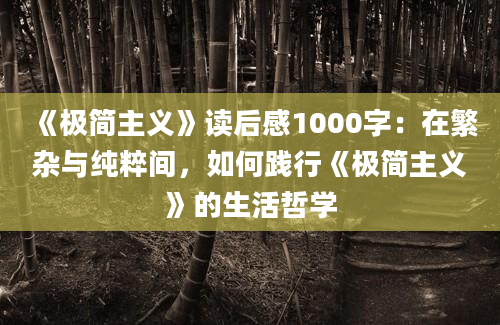 《极简主义》读后感1000字：在繁杂与纯粹间，如何践行《极简主义》的生活哲学