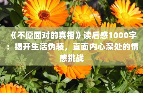 《不愿面对的真相》读后感1000字：揭开生活伪装，直面内心深处的情感挑战