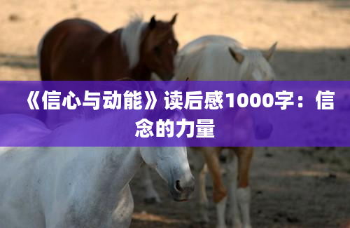 《信心与动能》读后感1000字：信念的力量