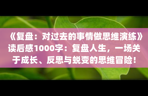 《复盘：对过去的事情做思维演练》读后感1000字：复盘人生，一场关于成长、反思与蜕变的思维冒险！