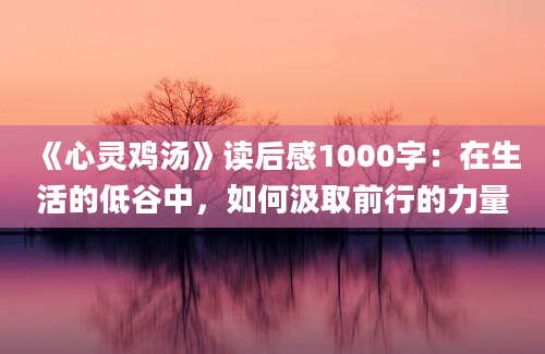 《心灵鸡汤》读后感1000字：在生活的低谷中，如何汲取前行的力量