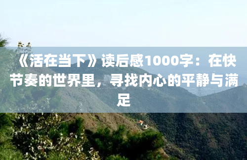 《活在当下》读后感1000字：在快节奏的世界里，寻找内心的平静与满足