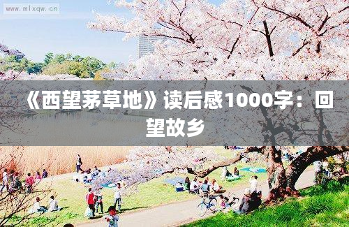 《西望茅草地》读后感1000字：回望故乡