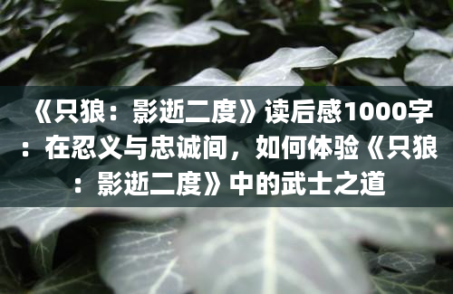 《只狼：影逝二度》读后感1000字：在忍义与忠诚间，如何体验《只狼：影逝二度》中的武士之道