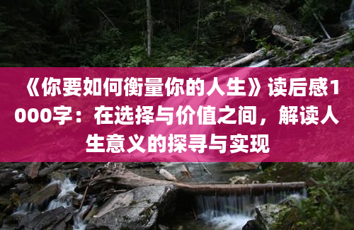 《你要如何衡量你的人生》读后感1000字：在选择与价值之间，解读人生意义的探寻与实现