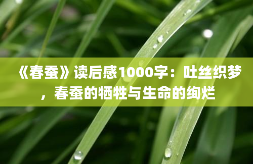 《春蚕》读后感1000字：吐丝织梦，春蚕的牺牲与生命的绚烂