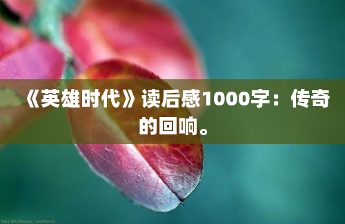 《英雄时代》读后感1000字：传奇的回响。