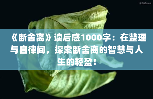 《断舍离》读后感1000字：在整理与自律间，探索断舍离的智慧与人生的轻盈！