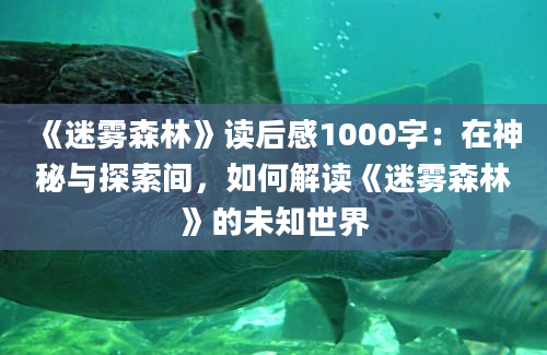 《迷雾森林》读后感1000字：在神秘与探索间，如何解读《迷雾森林》的未知世界