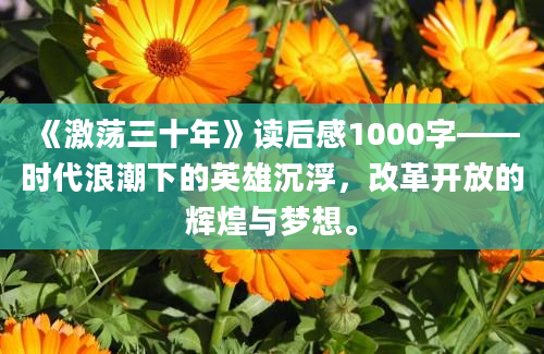 《激荡三十年》读后感1000字——时代浪潮下的英雄沉浮，改革开放的辉煌与梦想。