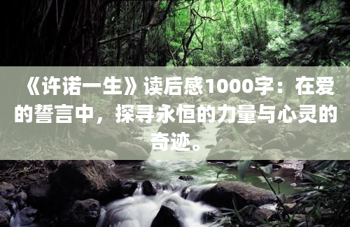 《许诺一生》读后感1000字：在爱的誓言中，探寻永恒的力量与心灵的奇迹。