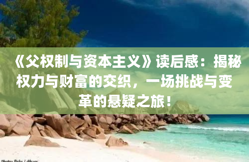 《父权制与资本主义》读后感：揭秘权力与财富的交织，一场挑战与变革的悬疑之旅！