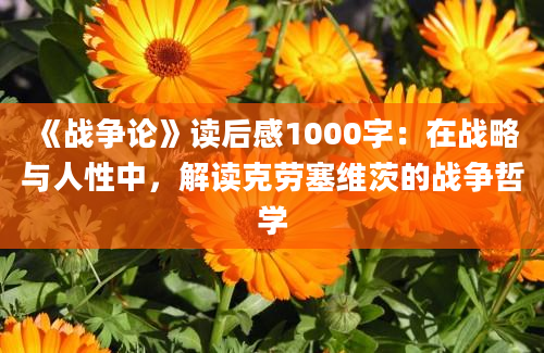 《战争论》读后感1000字：在战略与人性中，解读克劳塞维茨的战争哲学