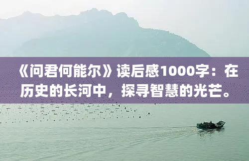 《问君何能尔》读后感1000字：在历史的长河中，探寻智慧的光芒。