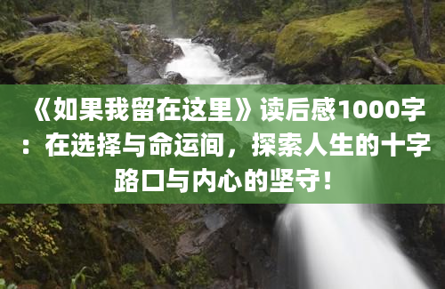 《如果我留在这里》读后感1000字：在选择与命运间，探索人生的十字路口与内心的坚守！