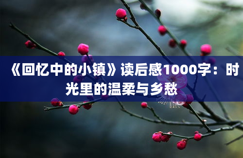 《回忆中的小镇》读后感1000字：时光里的温柔与乡愁