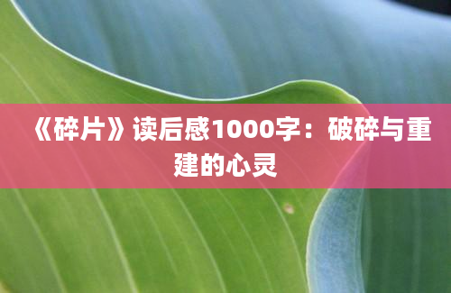 《碎片》读后感1000字：破碎与重建的心灵