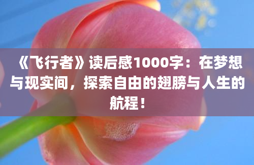 《飞行者》<a href=https://www.baixuetang.com target=_blank class=infotextkey>读后感</a>1000字：在梦想与现实间，探索自由的翅膀与人生的航程！