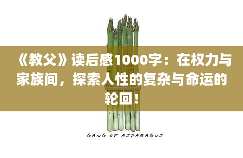 《教父》读后感1000字：在权力与家族间，探索人性的复杂与命运的轮回！