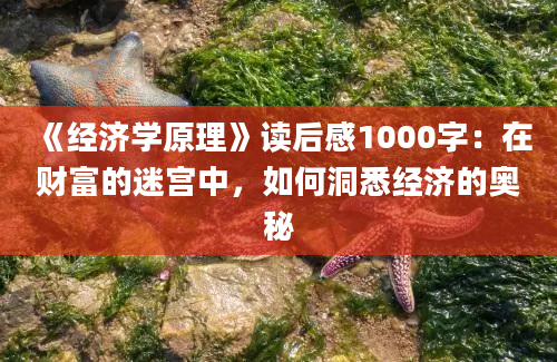 《经济学原理》读后感1000字：在财富的迷宫中，如何洞悉经济的奥秘