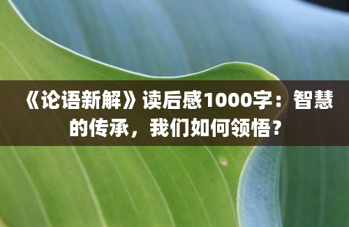 《论语新解》读后感1000字：智慧的传承，我们如何领悟？