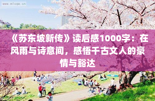 《苏东坡新传》读后感1000字：在风雨与诗意间，感悟千古文人的豪情与豁达