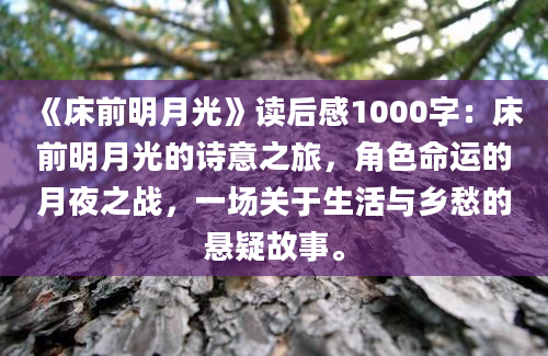 《床前明月光》读后感1000字：床前明月光的诗意之旅，角色命运的月夜之战，一场关于生活与乡愁的悬疑故事。