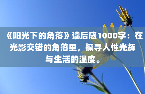 《阳光下的角落》读后感1000字：在光影交错的角落里，探寻人性光辉与生活的温度。