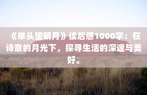 《举头望明月》读后感1000字：在诗意的月光下，探寻生活的深邃与美好。