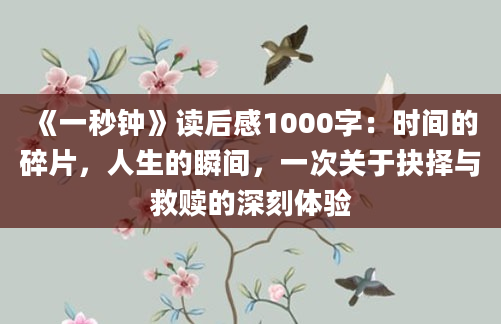 《一秒钟》读后感1000字：时间的碎片，人生的瞬间，一次关于抉择与救赎的深刻体验