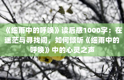 《细雨中的呼唤》读后感1000字：在迷茫与寻找间，如何倾听《细雨中的呼唤》中的心灵之声