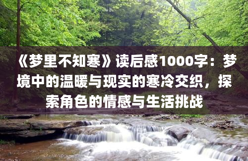 《梦里不知寒》读后感1000字：梦境中的温暖与现实的寒冷交织，探索角色的情感与生活挑战