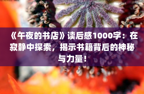 《午夜的书店》读后感1000字：在寂静中探索，揭示书籍背后的神秘与力量！