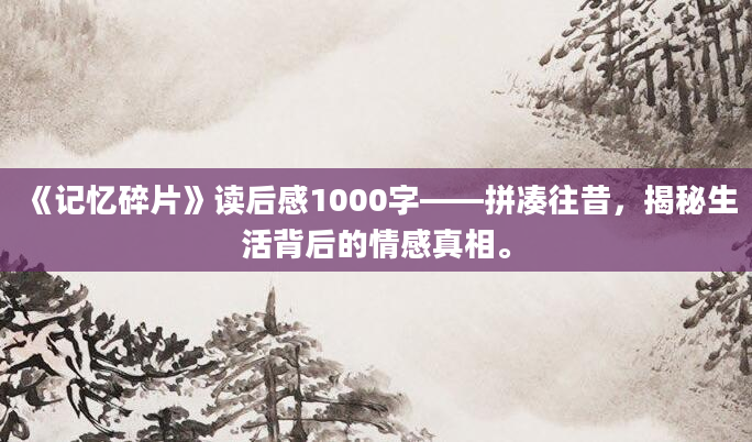 《记忆碎片》读后感1000字——拼凑往昔，揭秘生活背后的情感真相。