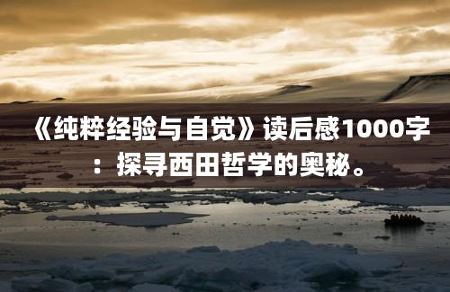 《纯粹经验与自觉》读后感1000字：探寻西田哲学的奥秘。