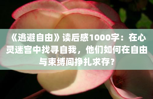 《逃避自由》读后感1000字：在心灵迷宫中找寻自我，他们如何在自由与束缚间挣扎求存？