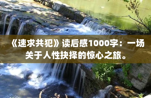 《速求共犯》读后感1000字：一场关于人性抉择的惊心之旅。