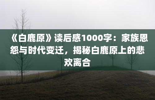 《白鹿原》读后感1000字：家族恩怨与时代变迁，揭秘白鹿原上的悲欢离合