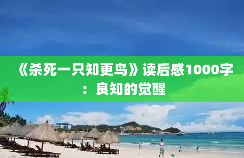 《杀死一只知更鸟》读后感1000字：良知的觉醒