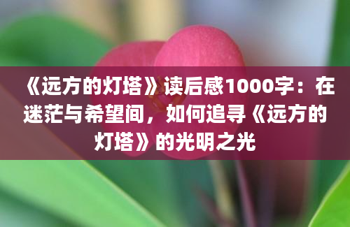 《远方的灯塔》读后感1000字：在迷茫与希望间，如何追寻《远方的灯塔》的光明之光