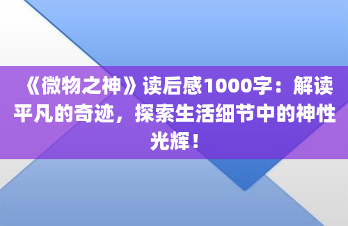 《微物之神》读后感1000字：解读平凡的奇迹，探索生活细节中的神性光辉！