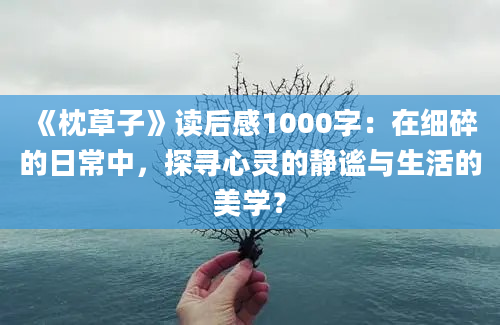 《枕草子》读后感1000字：在细碎的日常中，探寻心灵的静谧与生活的美学？