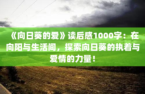 《向日葵的爱》读后感1000字：在向阳与生活间，探索向日葵的执着与爱情的力量！