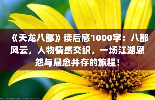 《天龙八部》读后感1000字：八部风云，人物情感交织，一场江湖恩怨与悬念并存的旅程！